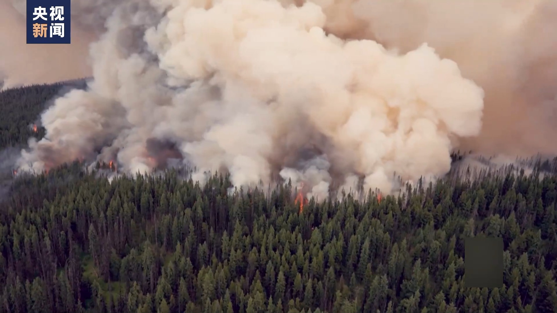 美国加州北部山火导致数千人疏散